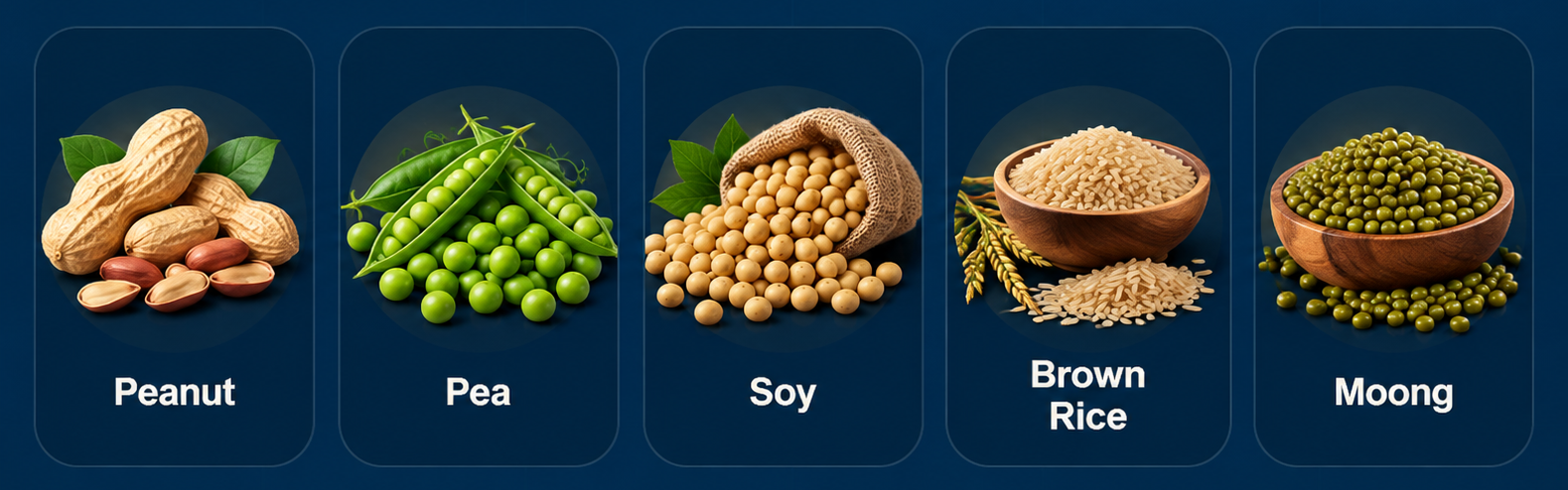 The Seventh five plant protein sources - Peanut, Pea, Soy, Brown Rice and Moong
